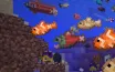 Minecraft Enthusiast Showcases Vast Tropical Fish Collection