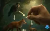 How to Construct a Food Chain Using Construct