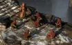 Path of Exile 3.27 Expands Mechanics with Keepers of the Flame