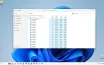 Windows 11 Bug Affects Task Manager Instances