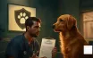 What Does Pet Health Insurance Cover?