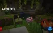 Axolotl Adds a New Dynamic to Minecraft Gameplay
