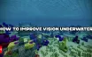 Maximizing Underwater Vision in Minecraft