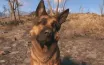 Fallout 4's Artistic Vision: Inspired by Great Falls Park