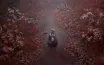 Business Insight on Silent Hill f: A New Frontier for Gamers