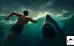 Do Sharks Attack Swimmers? Understanding Risks