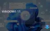 Windows 11 Privacy Settings Overwhelm Users