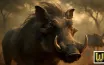 What are Warthogs Known For?