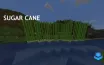 Minecraft Players Utilize Sugar Cane for Efficient Paper Crafting