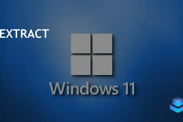 Efficient Techniques to Extract Images from Video Files