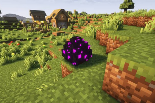 Exploring the Valued Treasures of Minecraft's Rarest Items