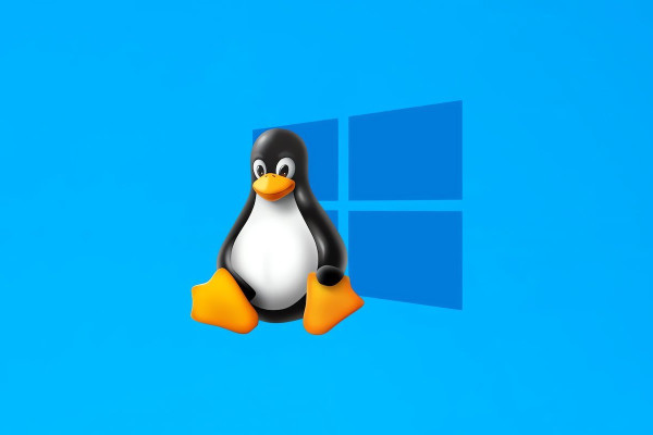 August 2024 Windows Update Causes Boot Failures on Dual-Boot Linux Systems