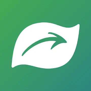 Seek App Enhances Education Through Nature Exploration