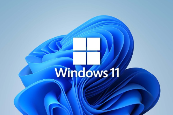 Windows 11 Update Bug Affects Virtualization Software Users