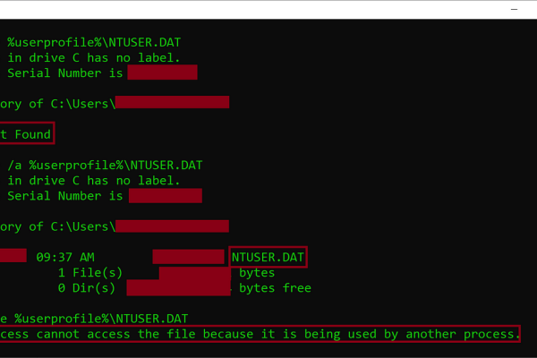 Understanding the Role of NTUSER.DAT in Windows User Customizations